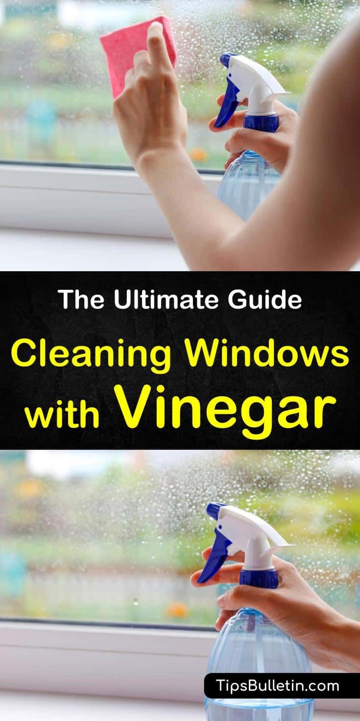 Can I Clean My Gun With Vinegar? The Ultimate Guide. Gun Gleam