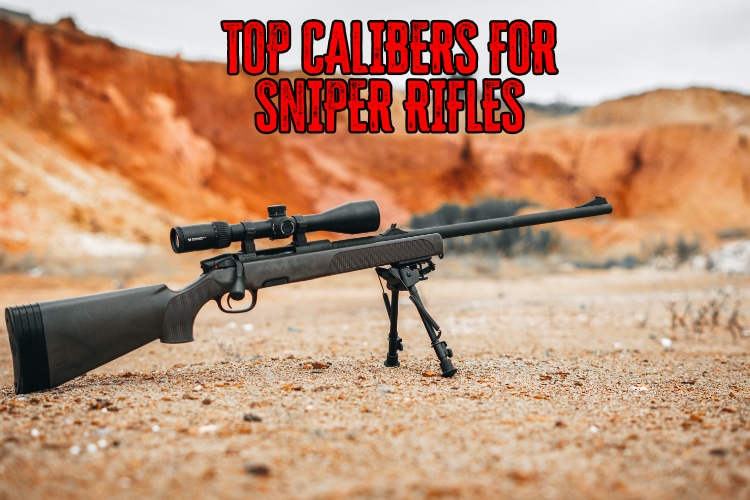 Master the Art of Cleaning a Precision Rifle for Unbeatable Accuracy